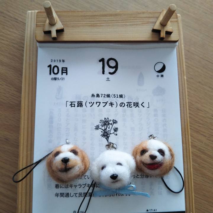 F57effc9 ccbe 4c46 8697 9dea3010d7a4 1571704629018