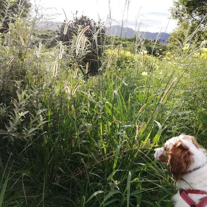 F57f0733 beca 42ea a757 4f62c31da9a3 1600049763094