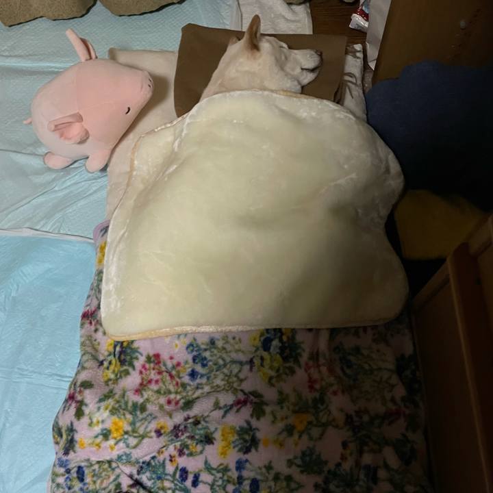 F57f2e5a 1b8c 44ec bced 296e9fdcf468 1640098891246