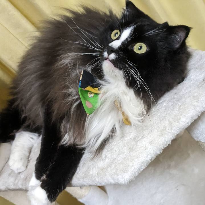 F57f614a 4f38 412c aa01 ebbdc9adf252 1694675066404