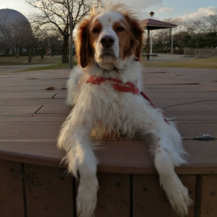 F57f6f5b 72aa 48bb 8163 a44ed6bd854c 1608542264741