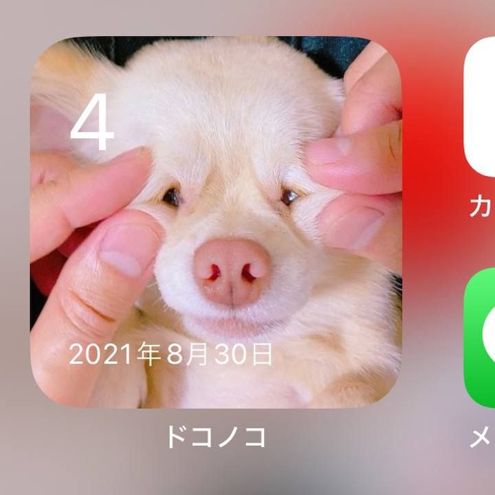 F57f71fb 623e 45e6 b920 97687244bba6 1725459956294