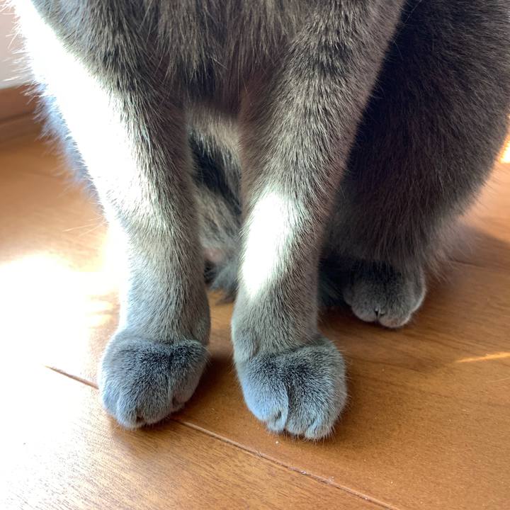 F57f7270 e976 4516 8d77 cad126f03d0d 1634346561891