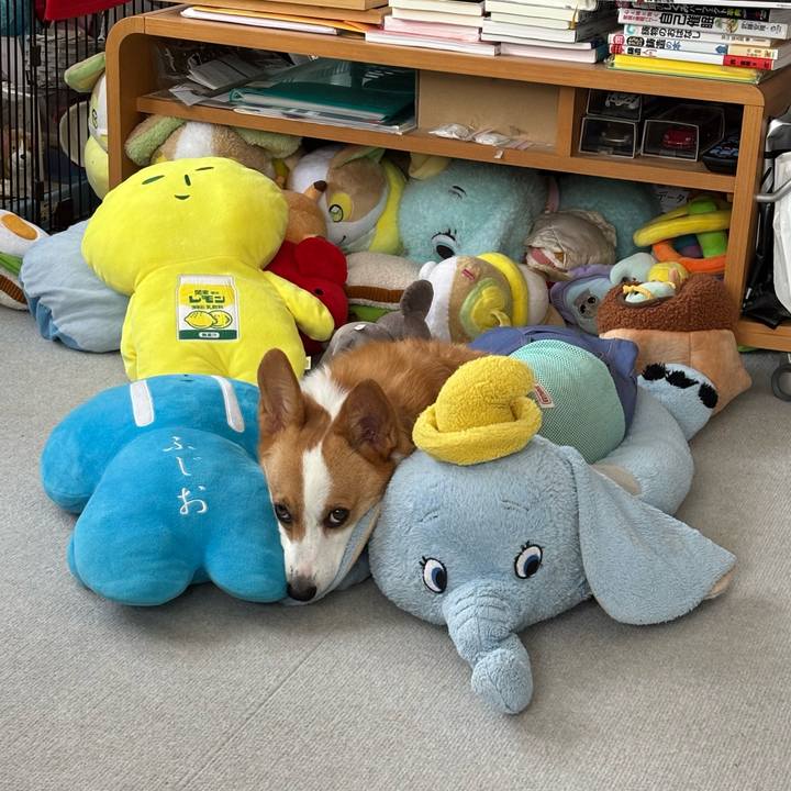 F57f83f5 7166 4ba9 8fe2 bd3c56789f36 1758417874548