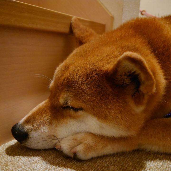 F57f858d 2732 4bbd aaa2 a7e90f9c6d2d 1757043119039