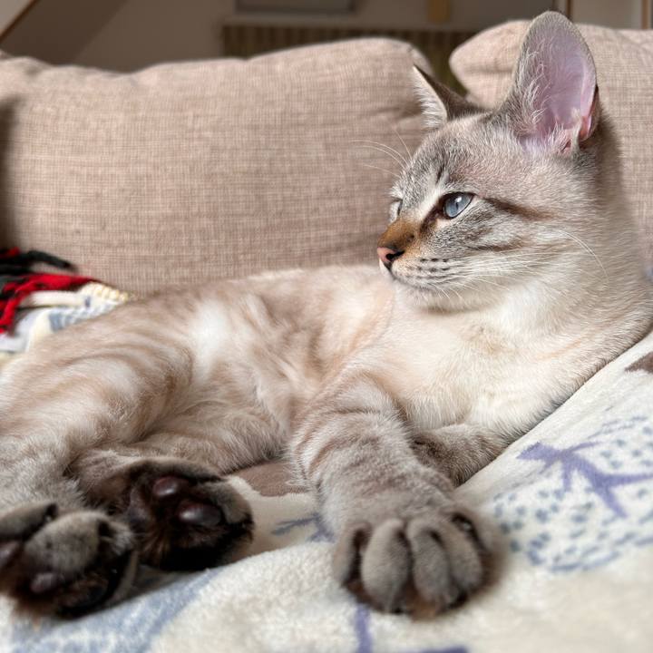 F57f8bb9 9cf0 4988 8fce c89800c92578 1735529440880