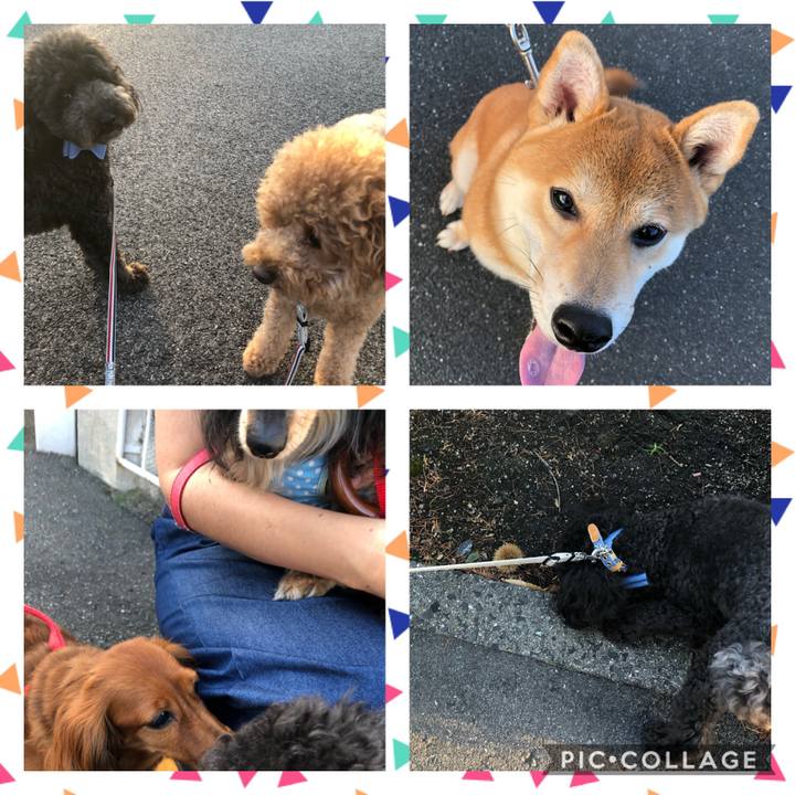 F57fb494 3837 4ad5 8d7d bfd35c73fc47 1599516870098