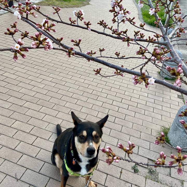 F57fc262 5cbd 4905 ab7e 8575be844d04 1616111072666