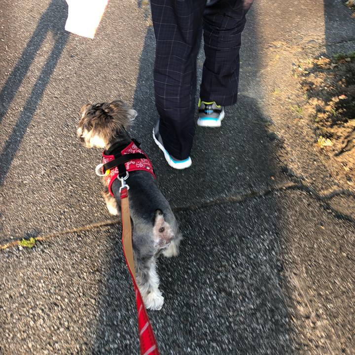 F57fd281 51a7 4adc 968a f3d13e0dc37f 1527972067485