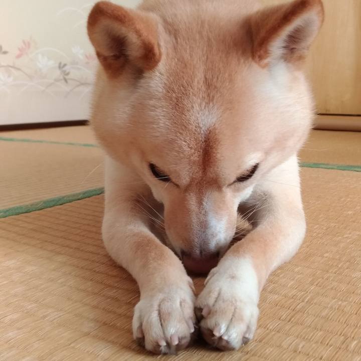 F57fd610 2629 480f 9ba1 5e74736f91e3 1550968010649