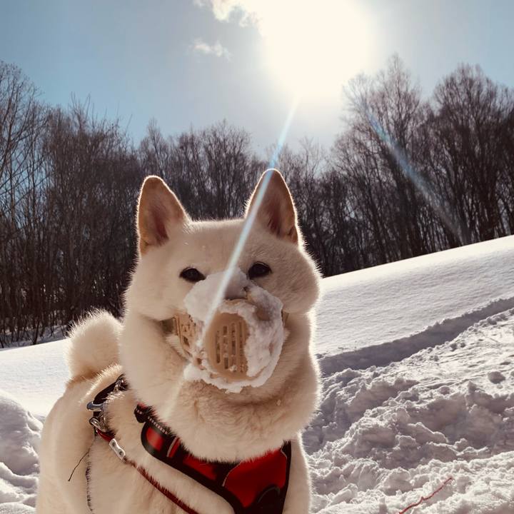 F57fe5b4 a0e2 4008 948e 7b33c54a60e1 1614480898119