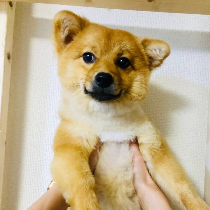 F57ff6dc 72bc 408f 8a4f 03bb29b4b2c8 1594114228987