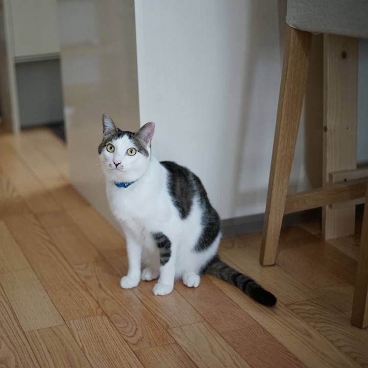 F5802219 b20f 4729 9570 30313457f3aa 1523576847084