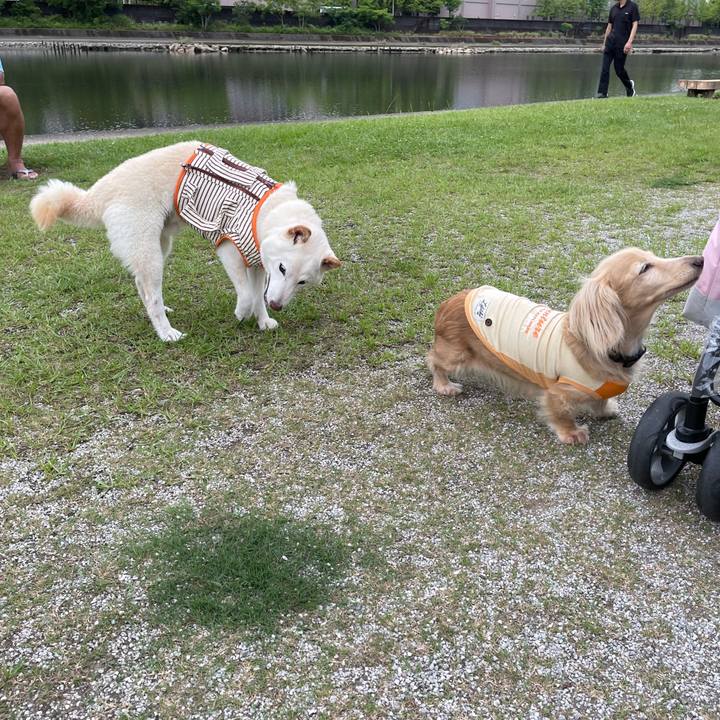 F5804a5c ce95 459f a1f4 cabac0e083e7 1655718984432