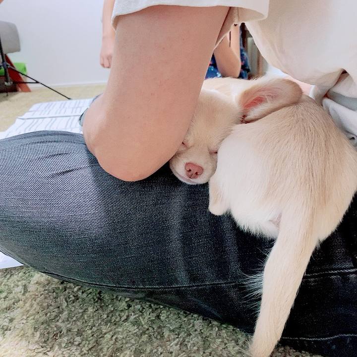 F5807210 0cf8 4cc8 8c0c f9ed05906e21 1595752515673