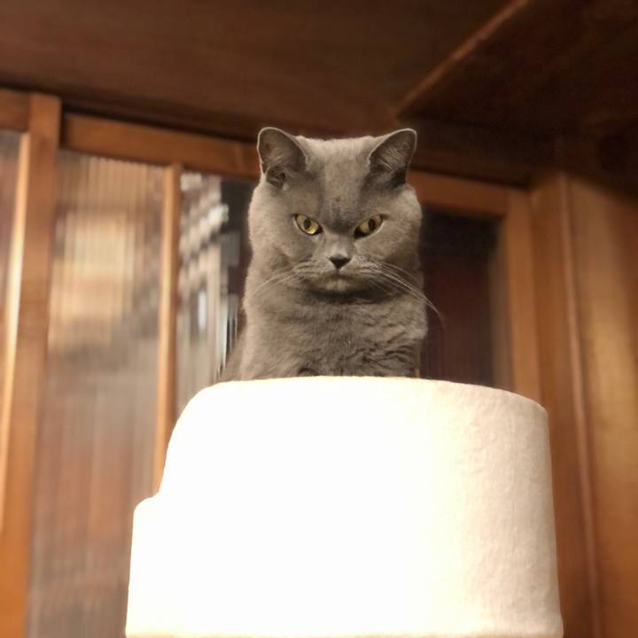 F580b5c9 cbd4 4860 99a9 9784d289ec74 1573386863310