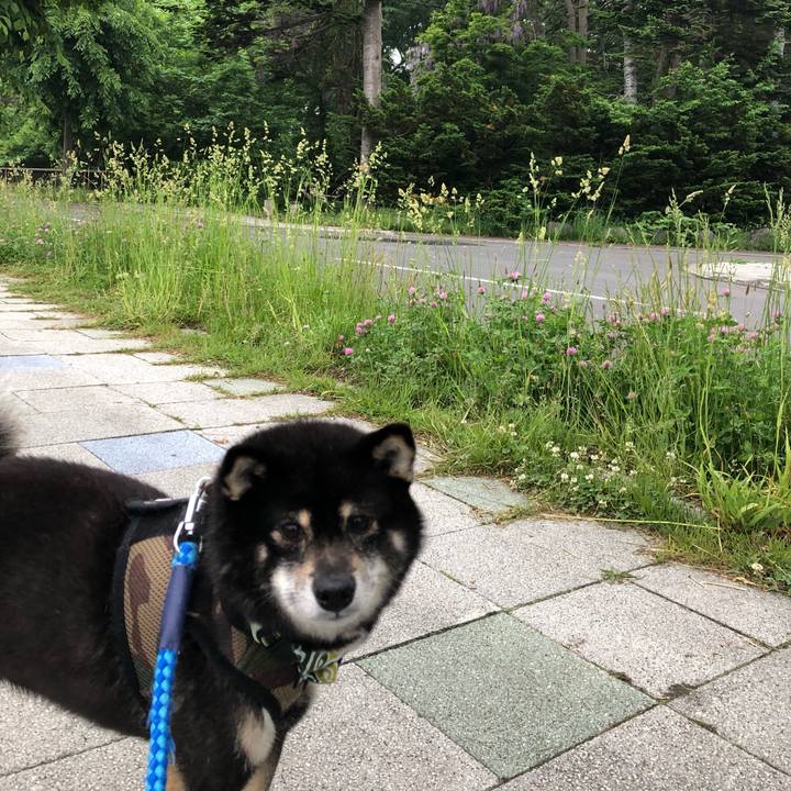 F580ff39 2c66 4fcb ade0 d6596b6c460f 1559793395022