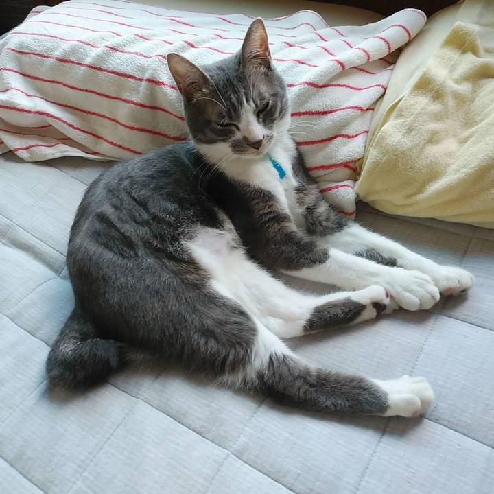 F5813750 493b 44e4 9a12 9ebe5ef4666b 1591093358644