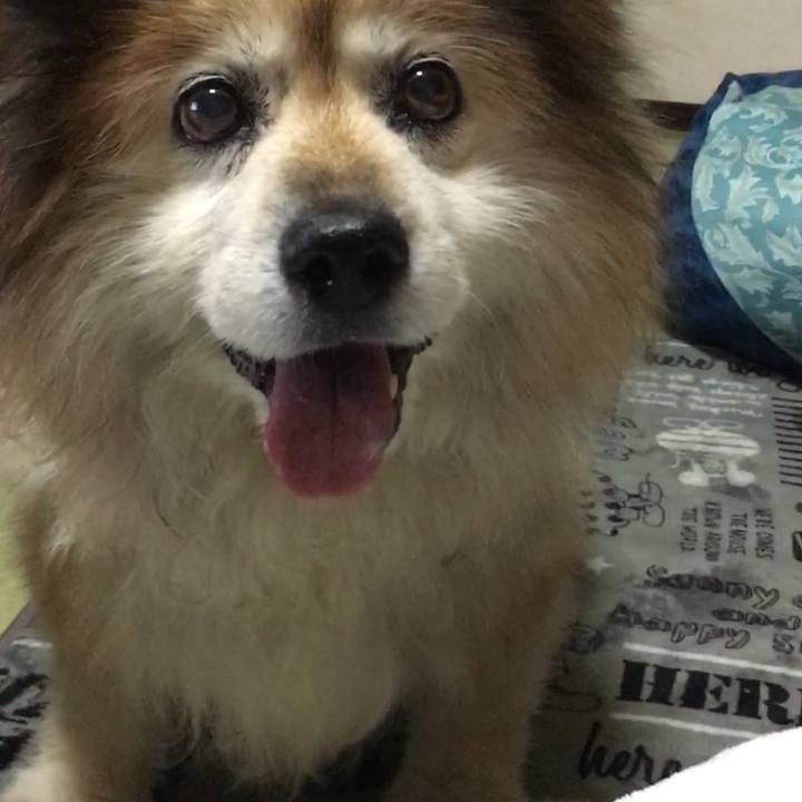 F5814090 04a9 46a9 8ce4 9fa73ce046e2 1625823567929