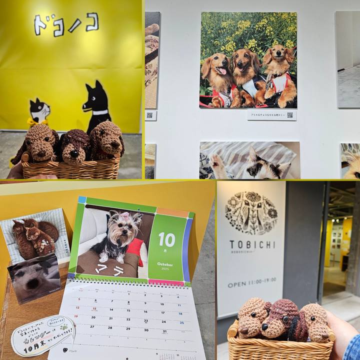 F581422b b8ee 4a18 b7b1 7812e4d92268 1761717002161