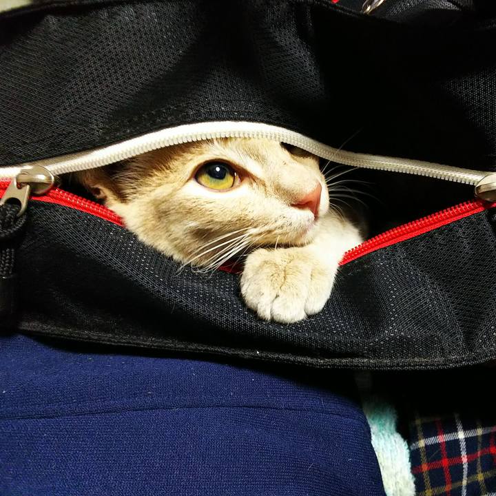 F58151b3 8836 42ec b56b f5d2b3786ec7 1544865063255