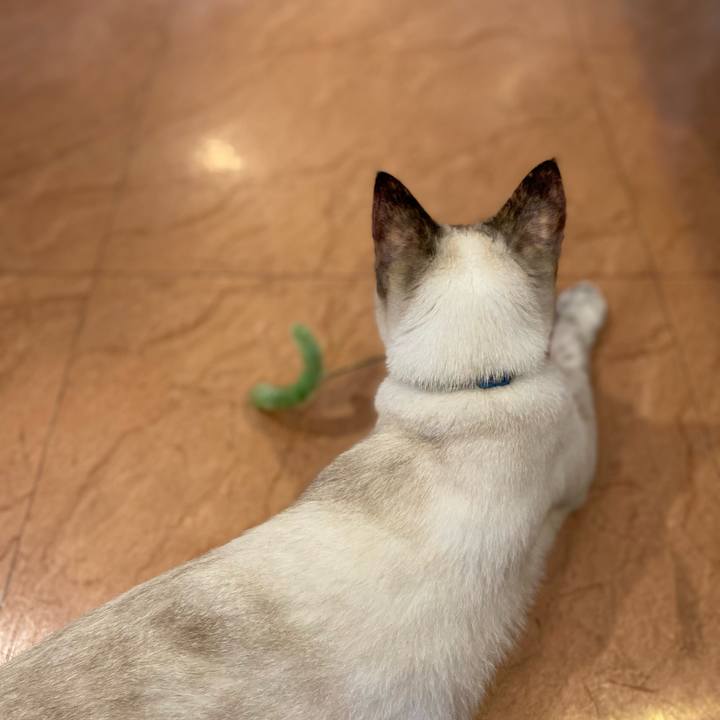 F58169ed d046 4b13 a3f1 9ded00d6590c 1660296580980