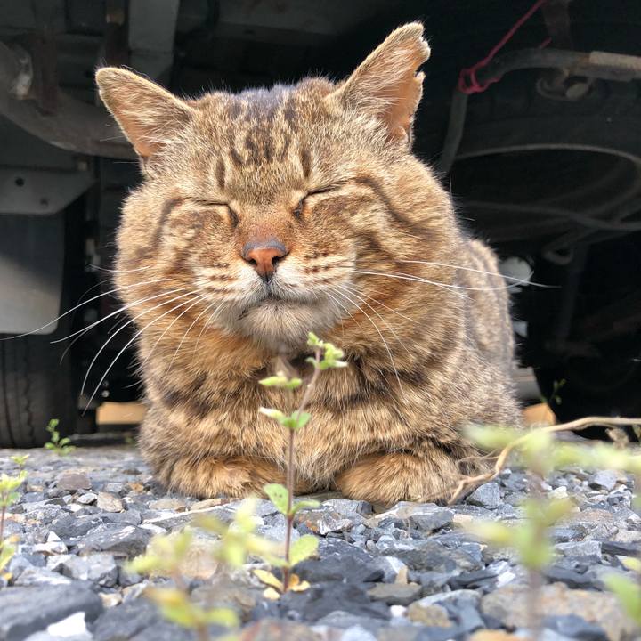 F5817255 4d1a 45d6 8d0c 2eec70f7c067 1523739292432