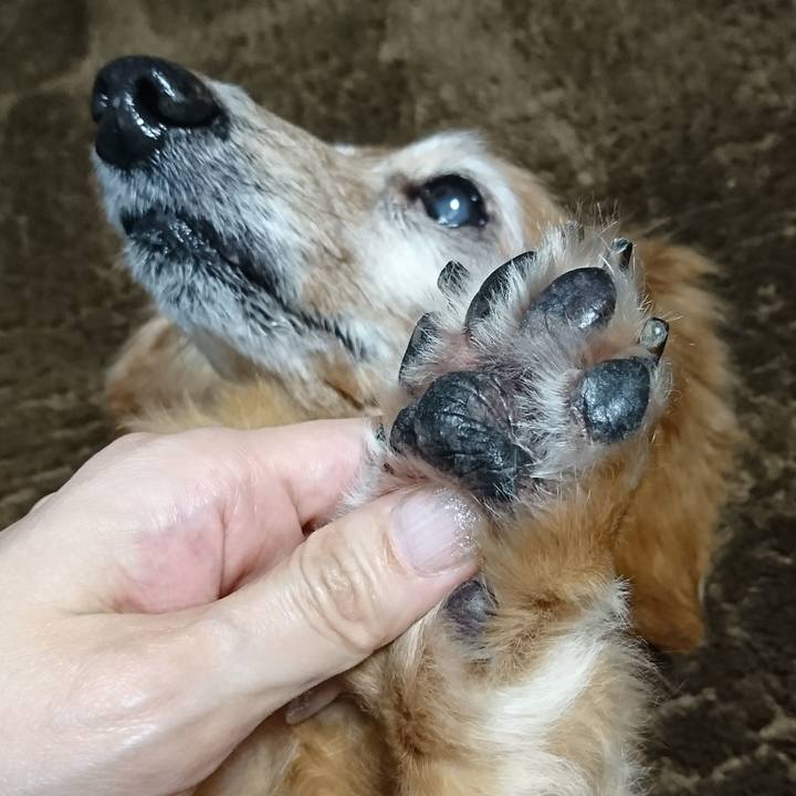 F5817505 688b 436b b589 67c07eb32022 1511163874136