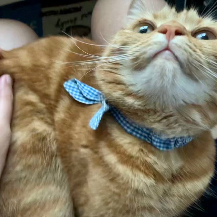 F581822c 3610 4b72 a1bf f17b0e0c0011 1589685253868