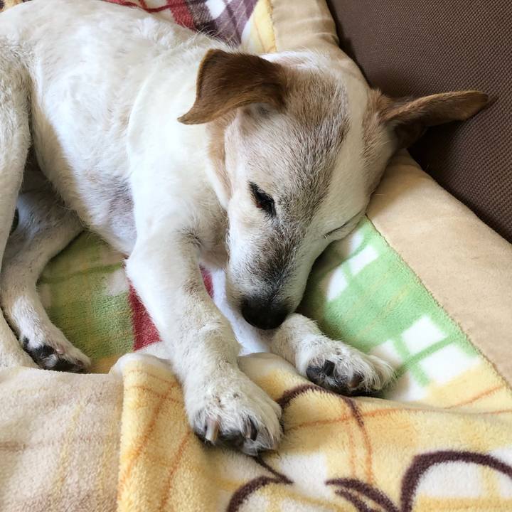 F58196de e912 4c81 be15 19467358d067 1555422552311