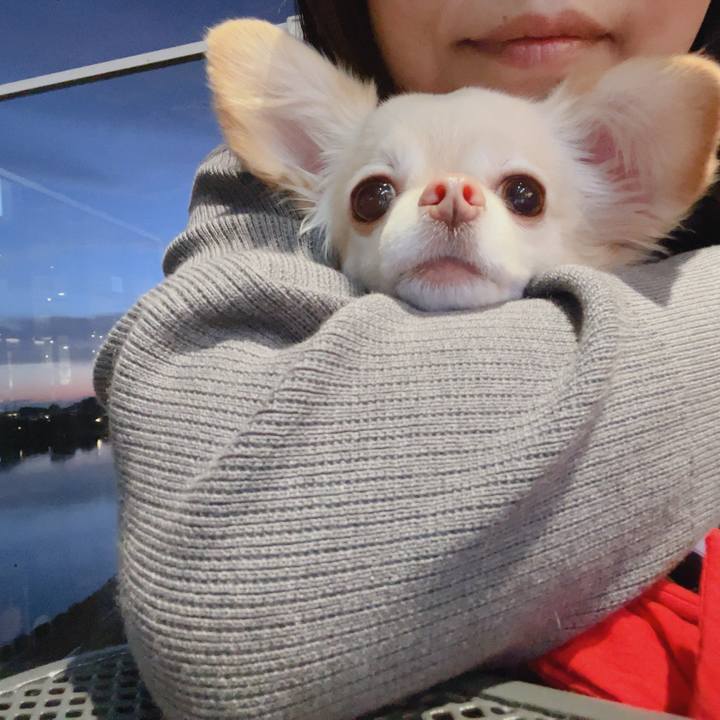 F581b102 f07a 4bbe b42c 6a0dba5d1787 1762085138631