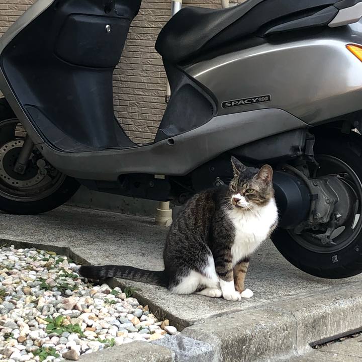 F581c4ab 43d6 45f8 8688 65a76aca85b4 1580973511905