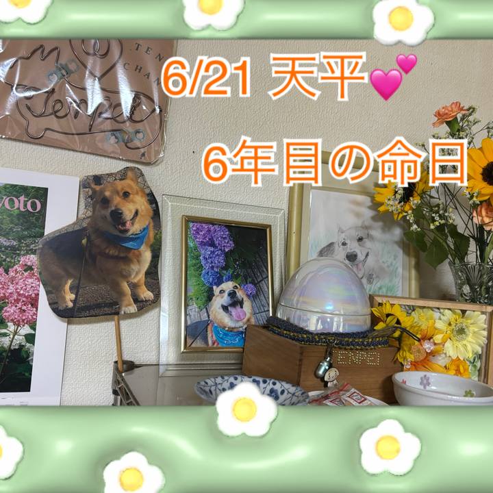 F581e254 c640 4a9a a5ad 67f1d9b8c874 1782046878777