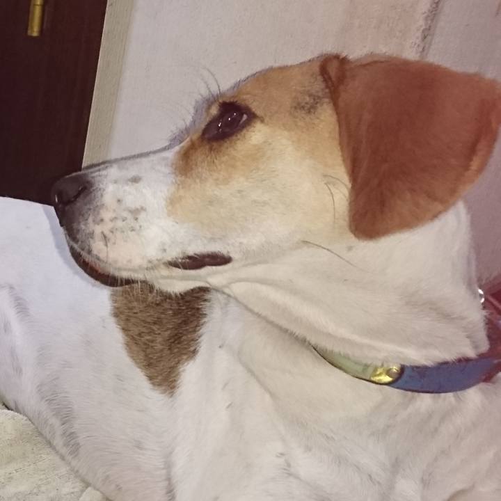 F581fb09 1dab 4d19 9089 bea8be73e1c5 1574387042048