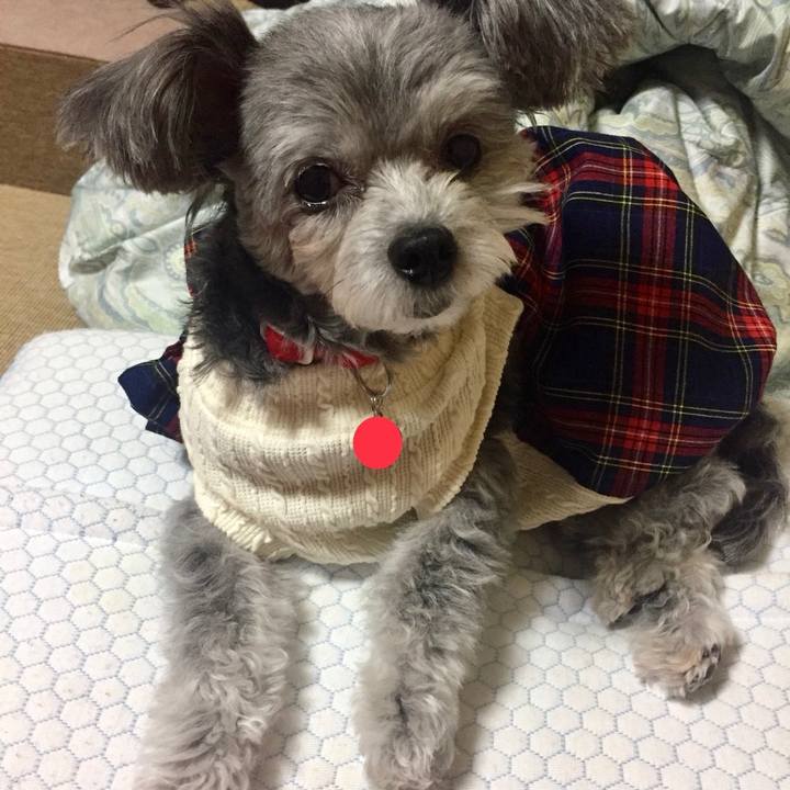 F582750e 9b32 4449 8757 dc553446bbb4 1543535951058