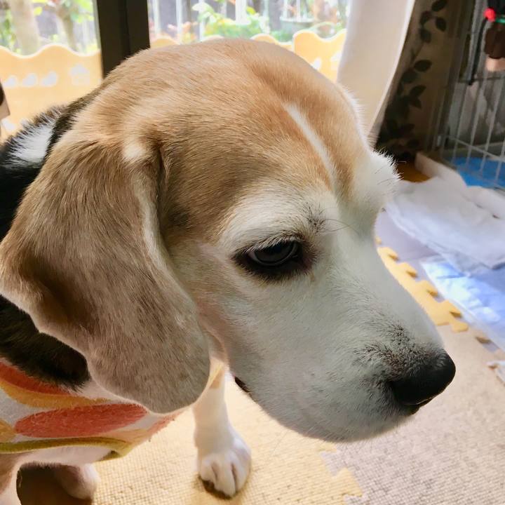 F5827552 0af6 4bd0 8ec0 dd582709eef1 1552969065377