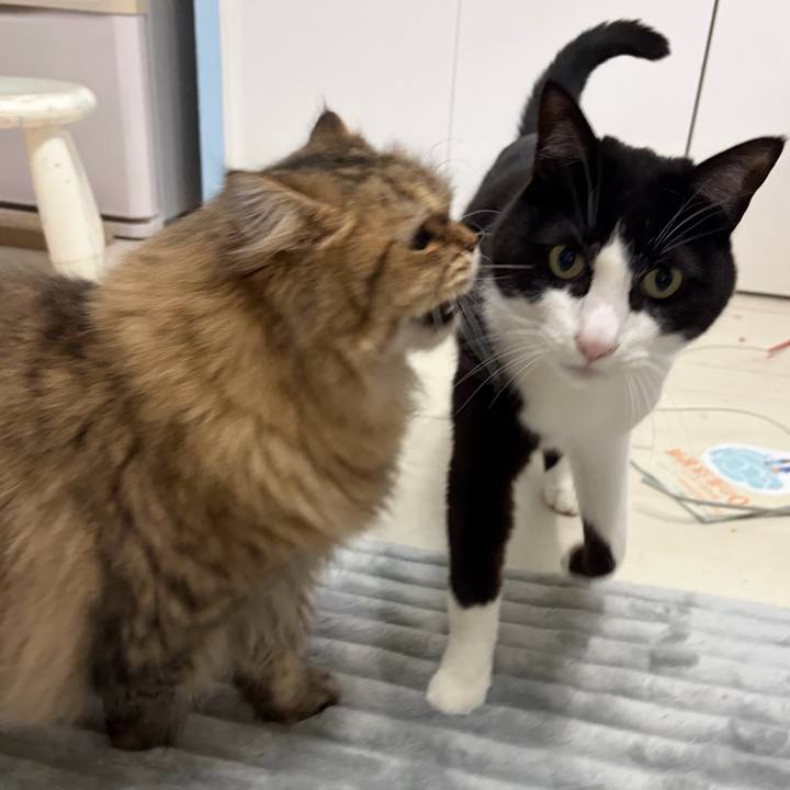 F58281e5 4a8f 4dbc 82ce ad05ccdb9bef 1766213347005