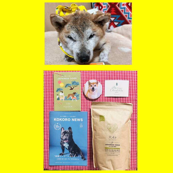 F582b5bc 07a6 4cf1 a81e 0f9eb5bfd257 1766565565178