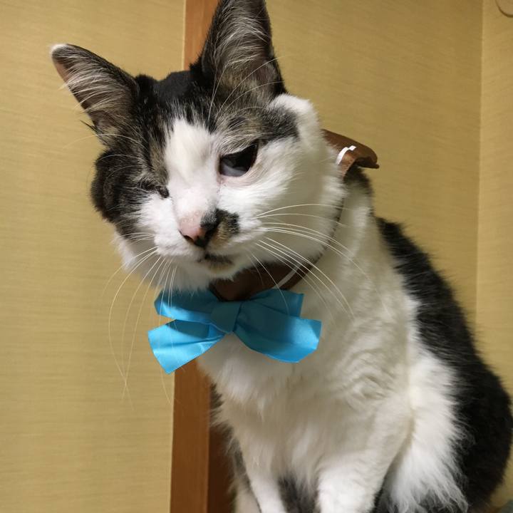 F582c59a 528d 4a68 807f 58791b5c2d23 1548731813517