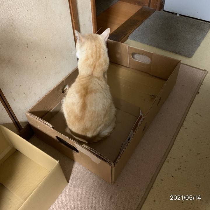 F582e8c0 0301 438c a4be 62df98d9a198 1620994303369