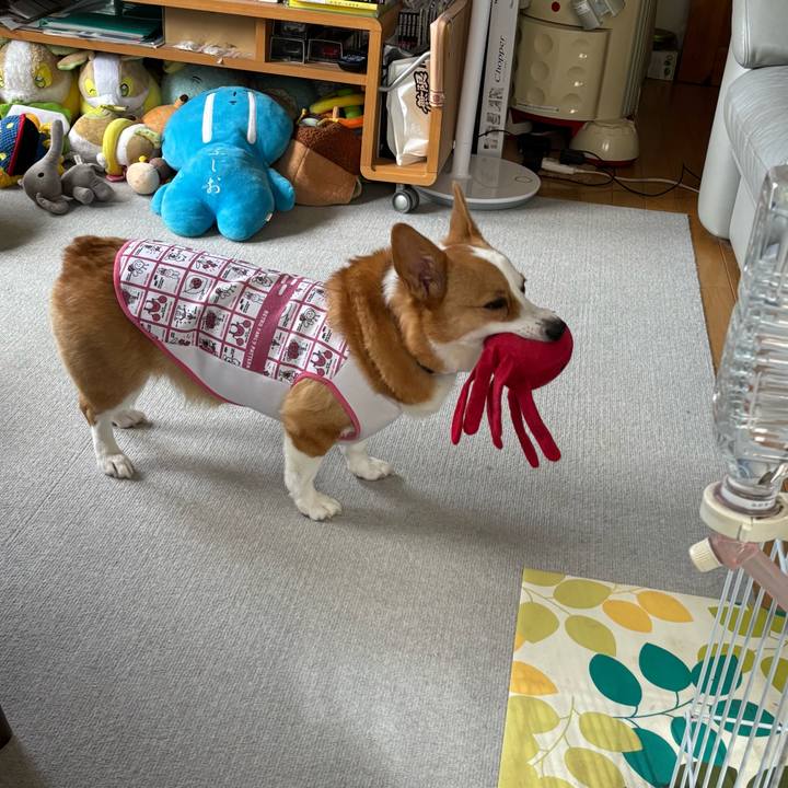 F5831cd2 0b2b 4b42 b13e 27285ee7078b 1762048730838