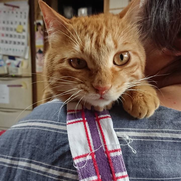 F583604c 9a72 4d55 8228 5686cb80f8f7 1657099040370