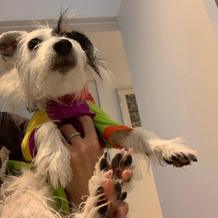 F5836e66 7c36 4246 9fd7 91a21917aba3 1663977586058