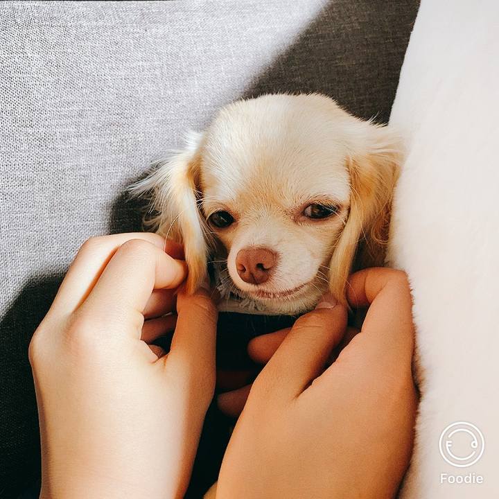 F5837e55 b1e5 46b9 b4f6 a5f8e088f047 1605429045628