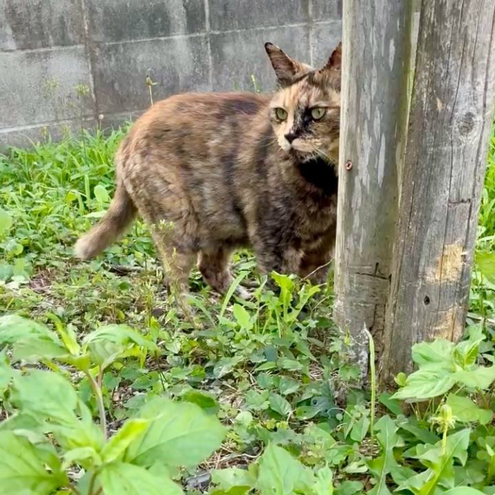 F583b907 5dcd 4d19 bdf9 203176408863 1750334094094