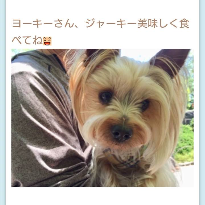 F583bb27 6a77 4bb3 94f5 d91da9f7301b 1556958778612