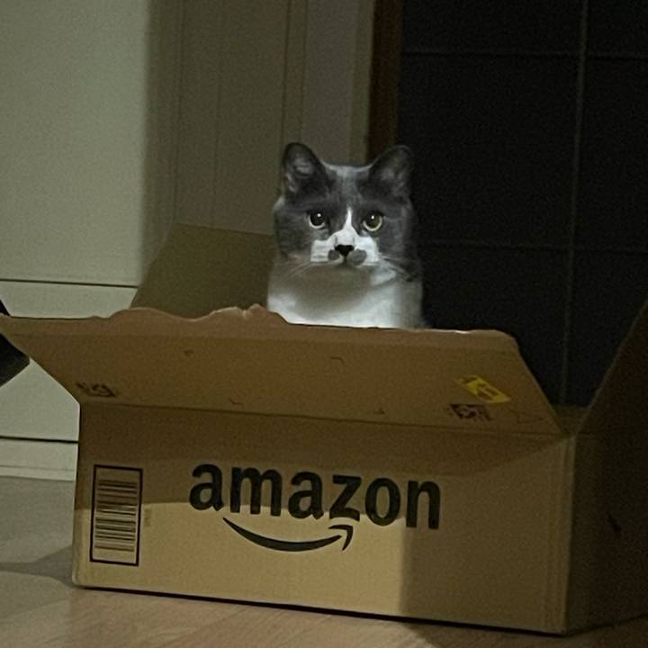 F583faf8 c028 4504 9b01 14eeeef2c43a 1752492486372