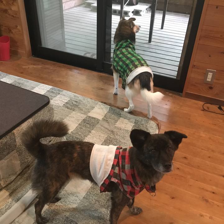 F5840c1b 4d34 49ee 8671 c8feafed5d75 1511016675986