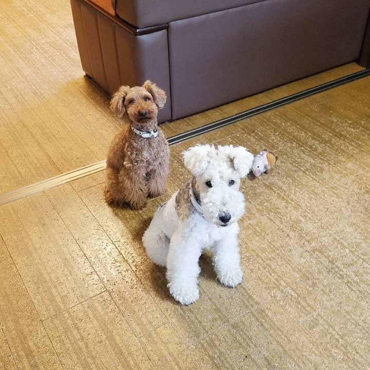 F584388b f478 4d50 9eff d86aff3a8b3d 1526287888265