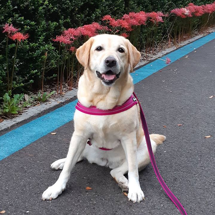 F58458ec 676f 49b9 bec9 7304e371e267 1630639413958